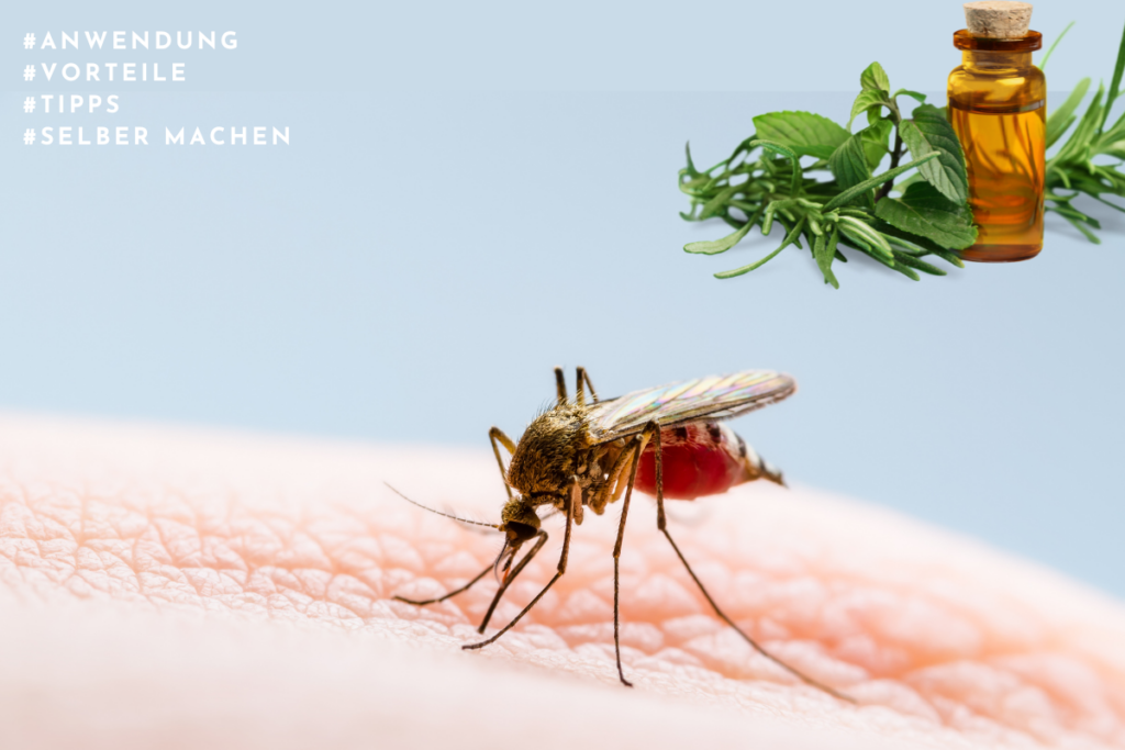 Ätherische Öle gegen Mücken Sinn, Anwendung + Tipps