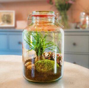 Flaschengarten anlegen dein Garten im Glas Anleitung