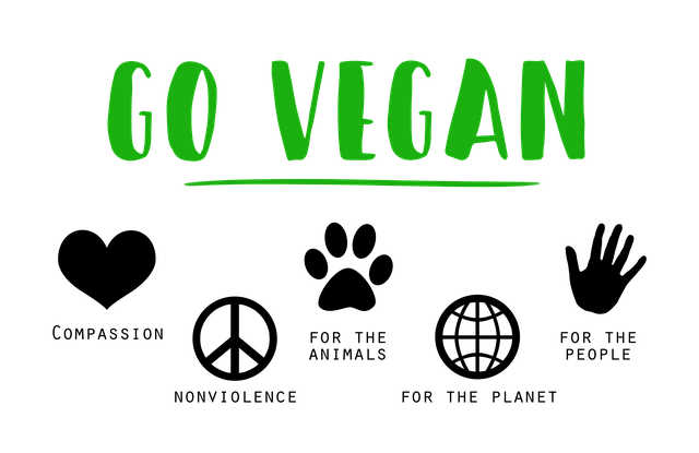 Geschenke für Veganer finden - vegane Geschenkideen