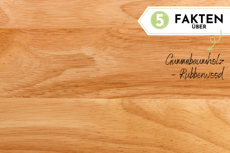 5 Fakten über Gummibaumholz (Rubberwood)