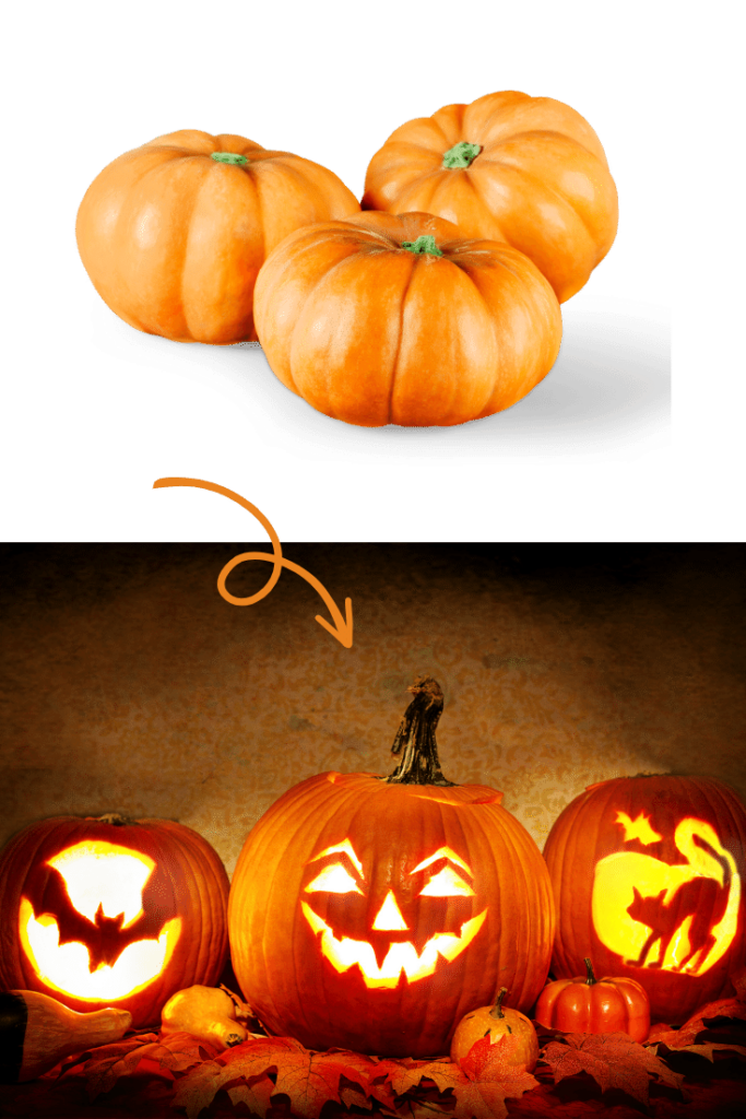 halloween party ideen natuerlich kuerbisse